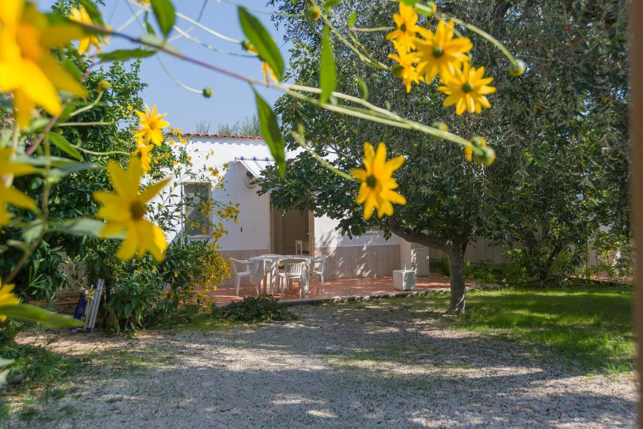 Ferienwohnung L'Agrumeto Mattinata Exterior foto